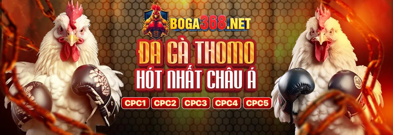 Hướng dẫn các bước đăng nhập keo nha cai tv